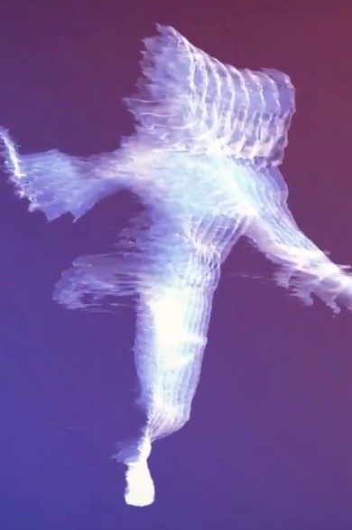 Zubr volumetric video dancer 3D scan morph warp