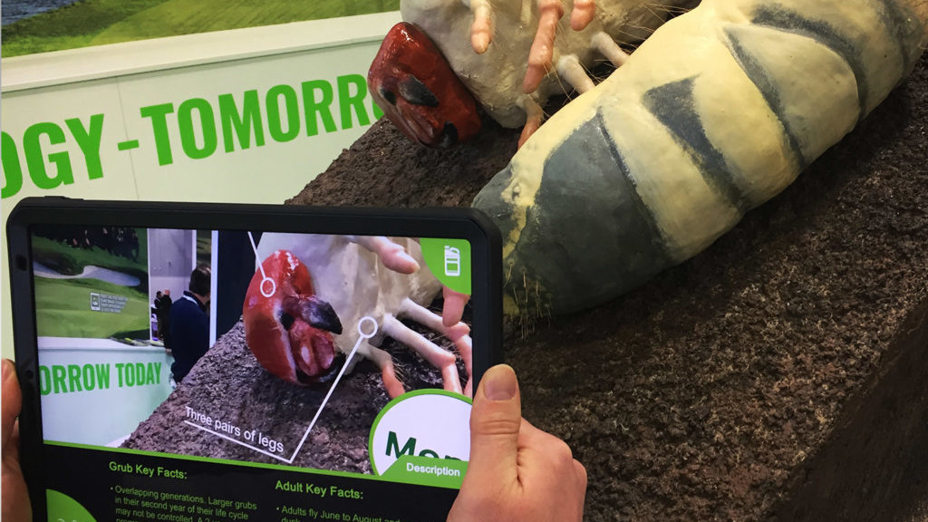 Insects augmented reality education tool