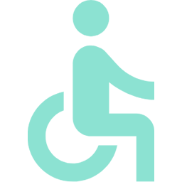 Wheelchair accessible version icon