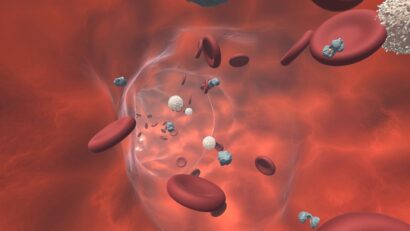3D render of blood cells for medical Virtual Reality VR project