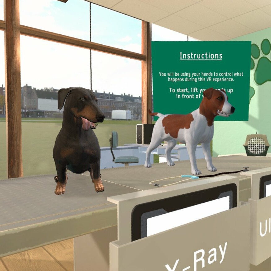 VR veterinary training simulation in a clinic space with two dogs
