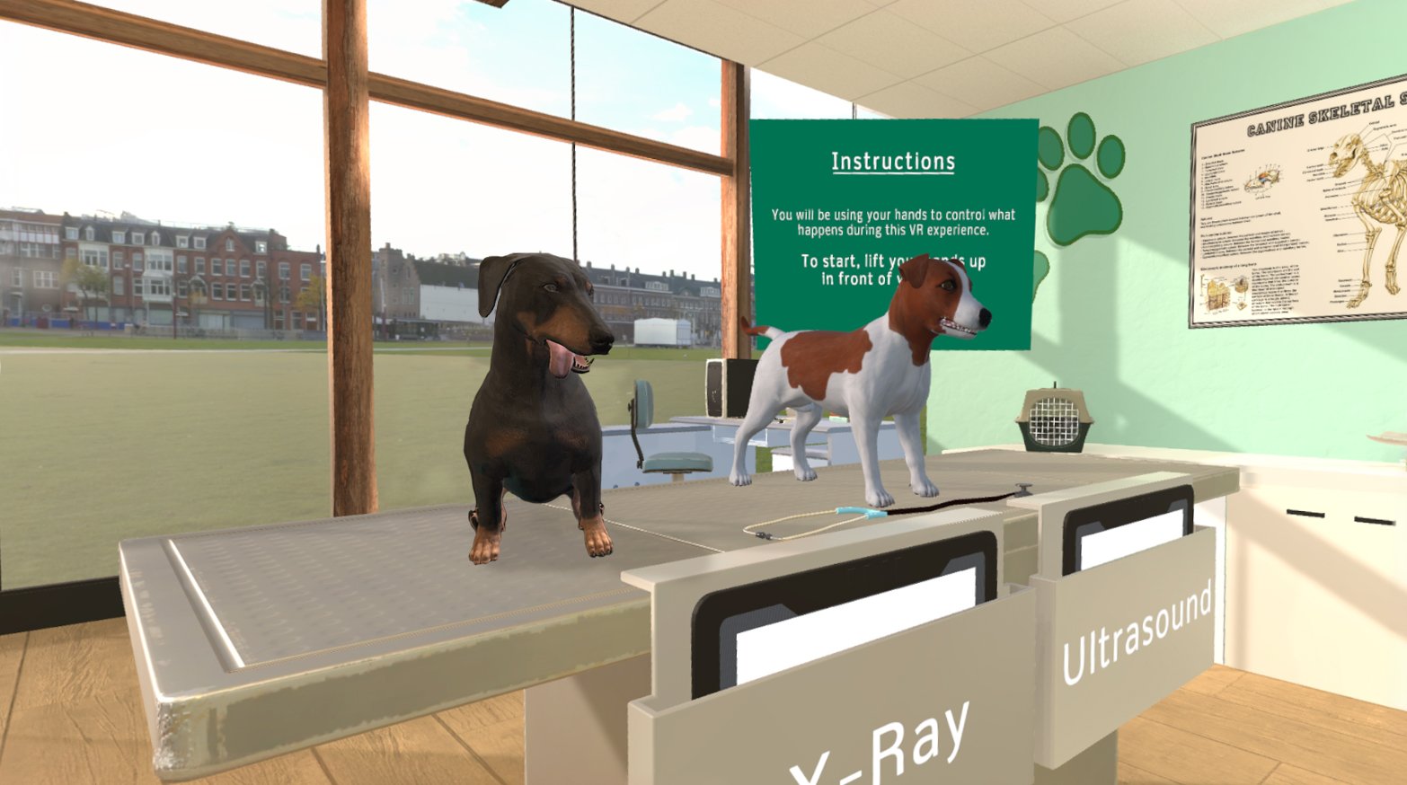 VR veterinary training simulation in a clinic space with two dogs