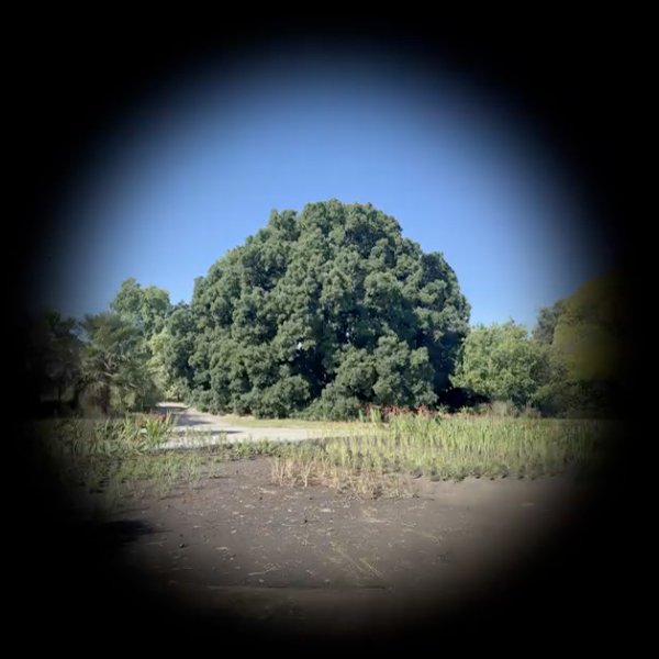 Virtual reality binoculars content