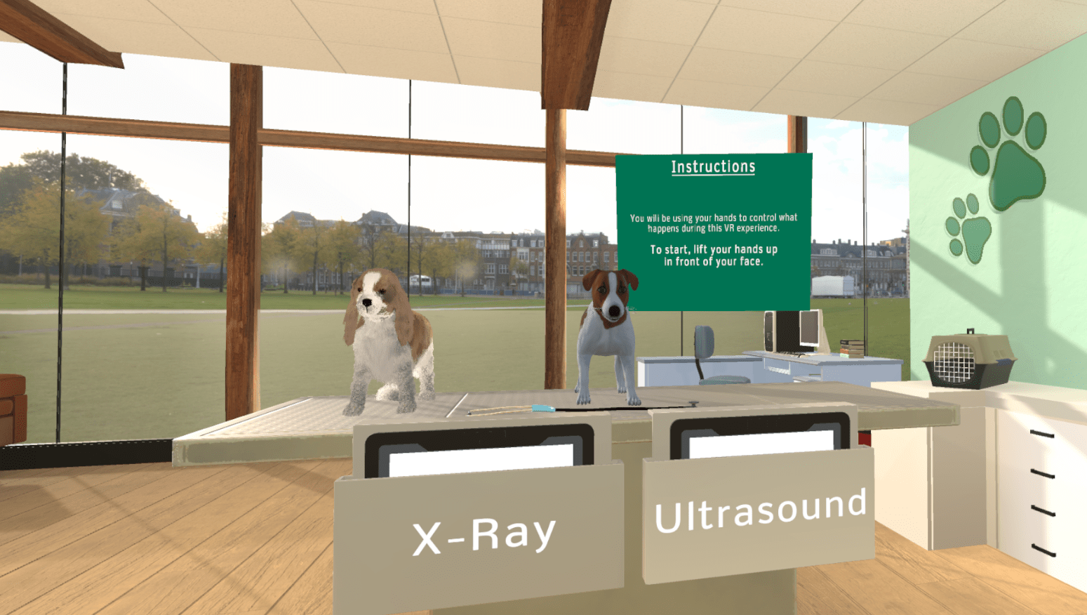 Virtual reality training for veterinary studies