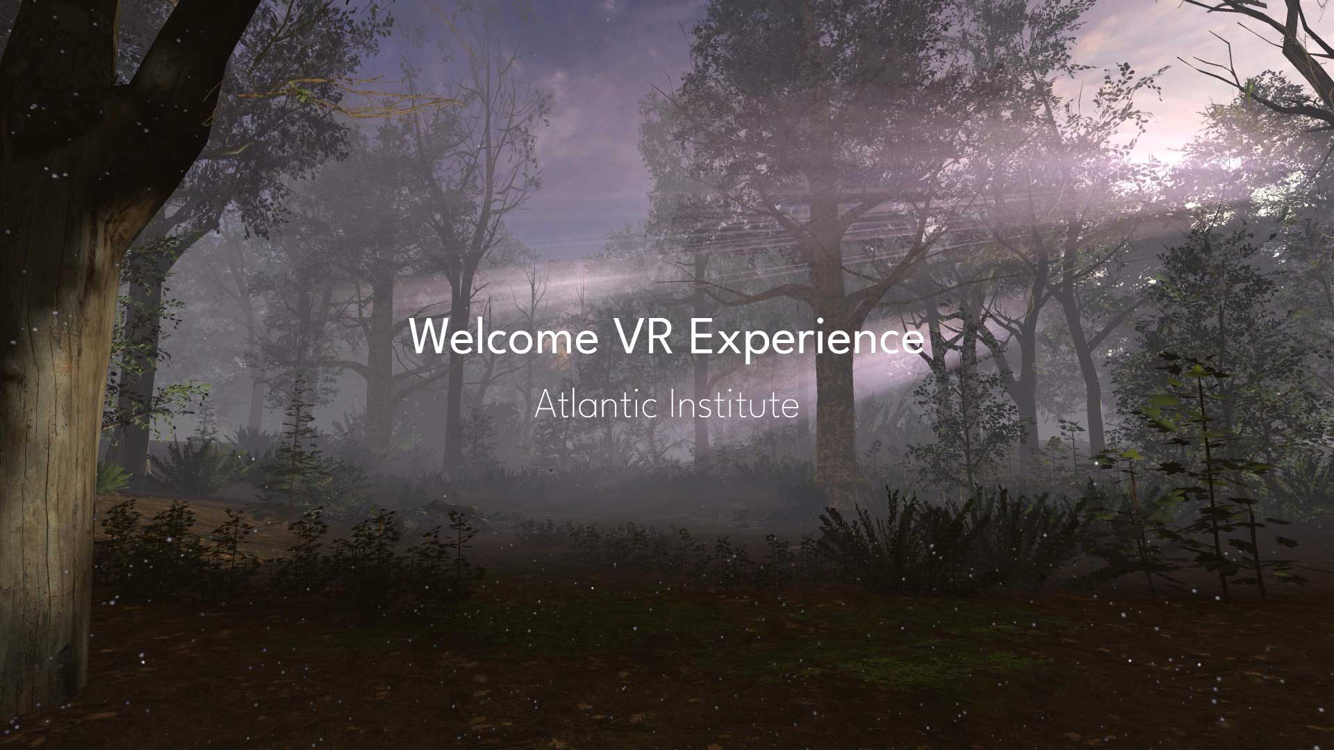 VR Welcome Experience forest