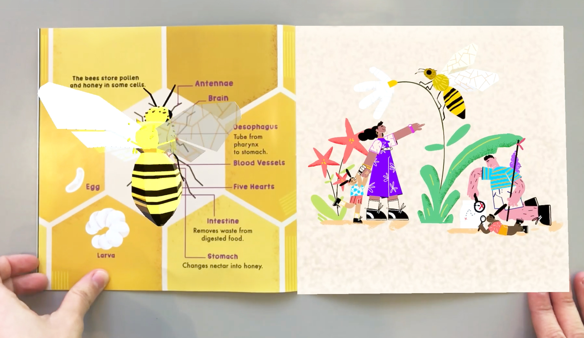 Augmented Reality children's book. AR Bee comes to live in the page.